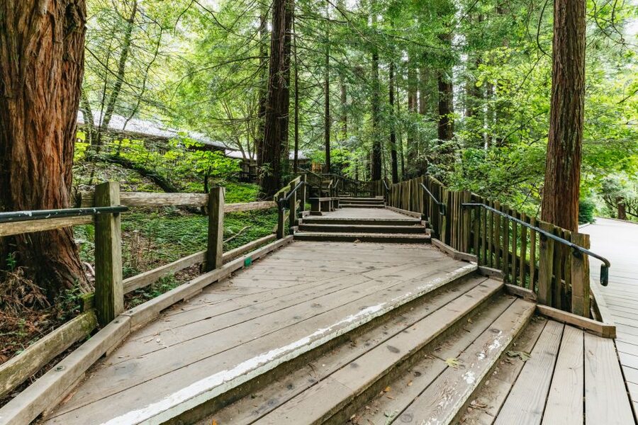San Francisco: Muir Woods and Sausalito Small-Group Tour - Comfort, Essentials, and Small Reality Checks