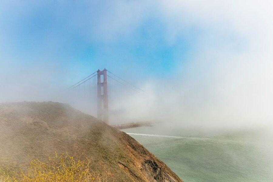 San Francisco: Muir Woods and Sausalito Small-Group Tour - Spotting the Old Growth Feeling: What the Guide Adds