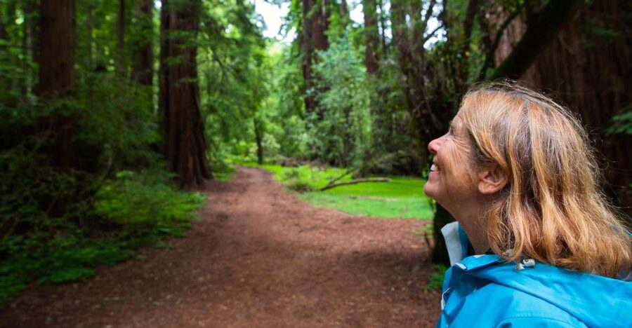San Francisco: Muir Woods and Sausalito Tour with Admission - Getting out of the city: the morning ride that sets the tone