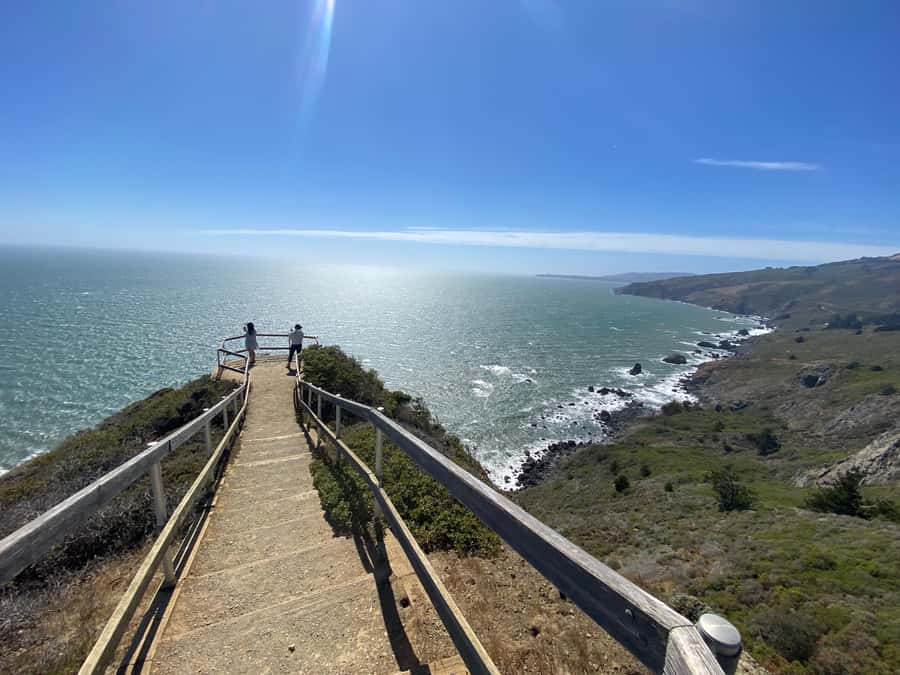 San Francisco: Muir Woods Giant Redwoods & City Private Tour - Fisherman’s Wharf and Union Square, Plus the Neighborhood Flavor Stops