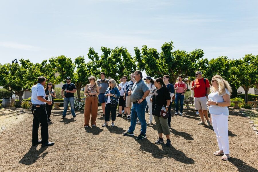 San Francisco: Muir Woods, Napa & Sonoma Valley Wine Tour - Mayo Family Winery Tasting: A Guided First Pour