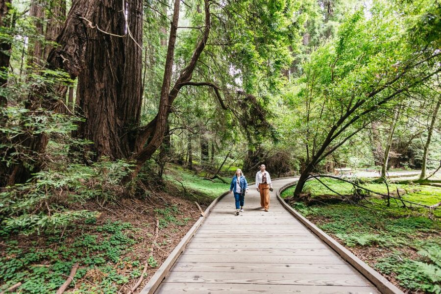 San Francisco: Muir Woods, Napa & Sonoma Valley Wine Tour - Ru Vango Winery in Napa: Art Meets Wine in a 1-Hour Stop