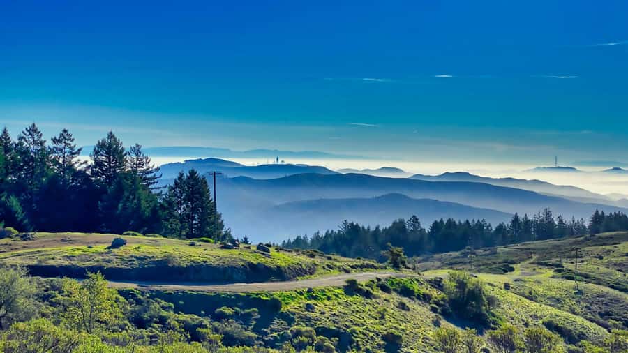 San Francisco: Muir Woods, Point Reyes, and Meadery Tour - What $249 buys you in a full 10-hour day