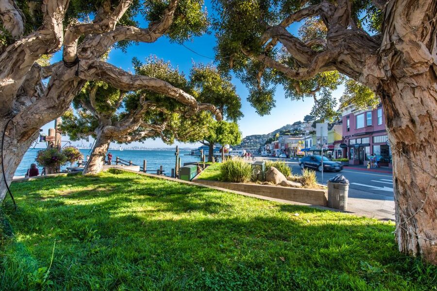 San Francisco: Muir Woods, San Francisco and Sausalito Tour - Chinatown and Little Italy stops that bring the neighborhoods to life