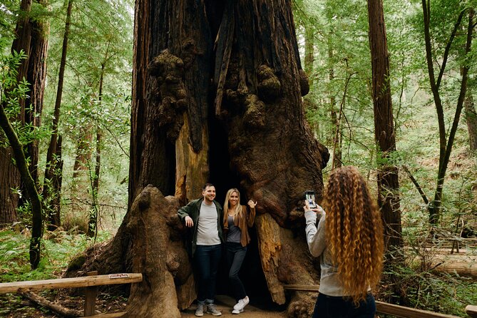 San Francisco, Muir Woods, Sausalito and optional Alcatraz tour - Muir Woods time: how to make the most of 90 minutes