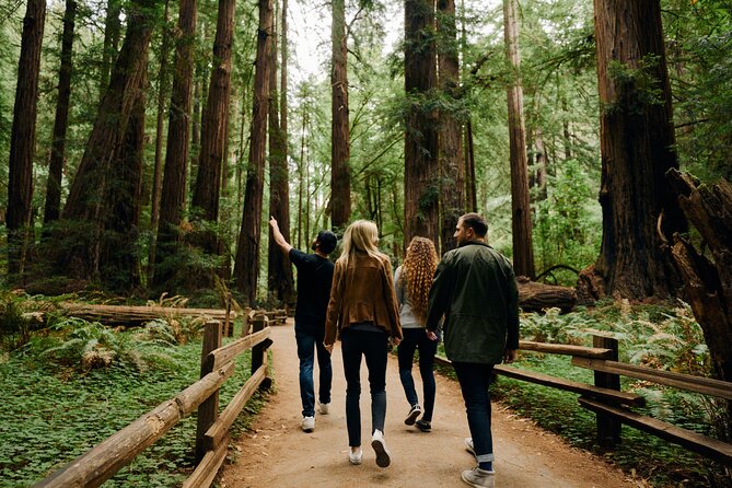 San Francisco, Muir Woods, Sausalito and optional Alcatraz tour - Sausalito for lunch and shopping, plus the ferry back option