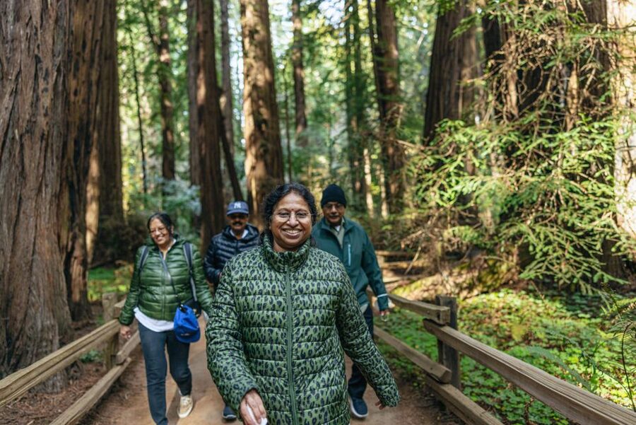 San Francisco: Muir Woods, Sausalito and SF Bay Cruise - Key Things to Know Before You Go
