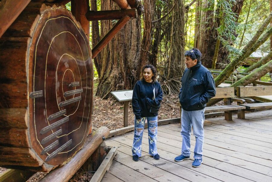 San Francisco: Muir Woods, Sausalito and SF Bay Cruise - How This Tour Stacks Up: Redwoods, Sausalito, and the Bay