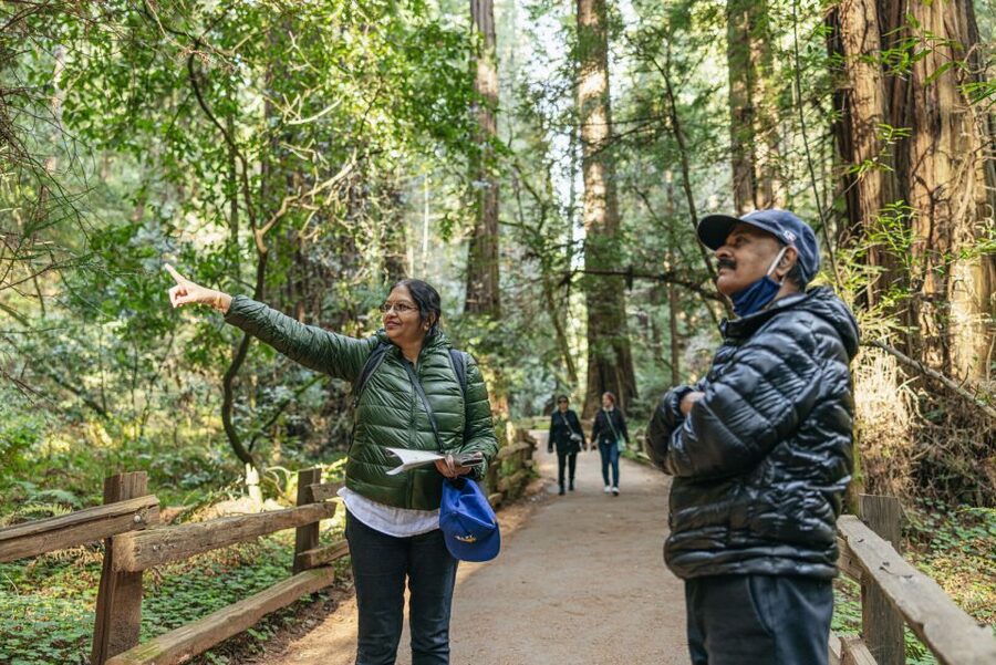 San Francisco: Muir Woods, Sausalito and SF Bay Cruise - The Drive Through Marin: Rainbow Tunnels and Mt. Tamalpais Views