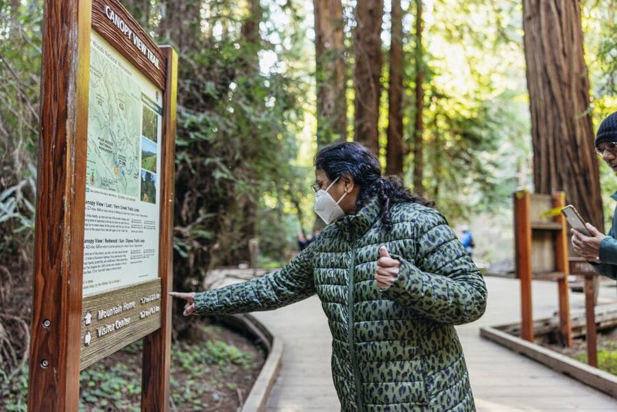 San Francisco: Muir Woods, Sausalito and SF Bay Cruise - Sausalito in One Hour: Floating Homes, Historic Downtown, and Lunch Math