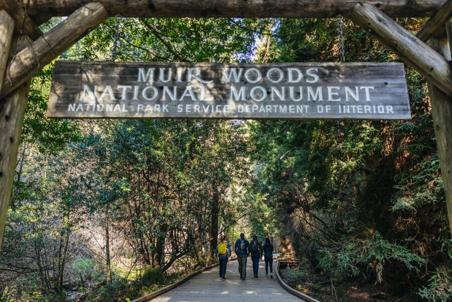 San Francisco: Muir Woods, Sausalito and SF Bay Cruise - Price and Value: Is $133 a Good Deal?
