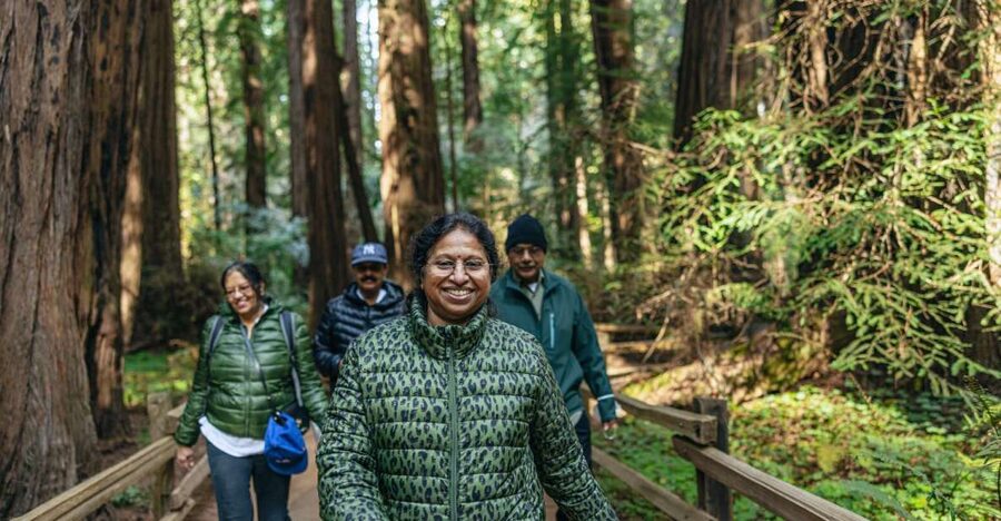 San Francisco: Muir Woods, Sausalito and SF Bay Cruise - Getting There Smoothly: Pickup Points and Early Morning Reality