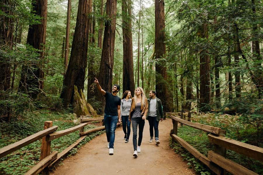 San Francisco: Muir Woods & Sausalito Tour w/Alcatraz Option - The smart logic of this 8-hour combo day