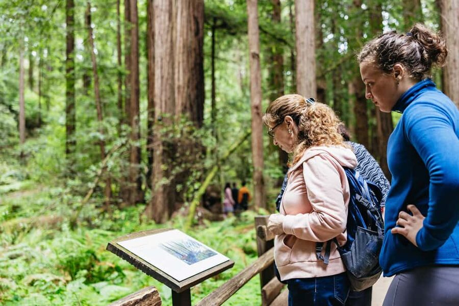 San Francisco: Muir Woods & Sausalito Tour with Ferry Option - Golden Gate Bridge photo stops, with fog in the script