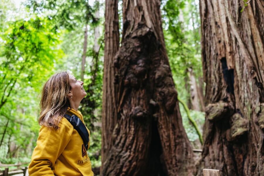 San Francisco: Muir Woods & Sausalito Tour with Ferry Option - Walking among giant redwoods, not just looking at them