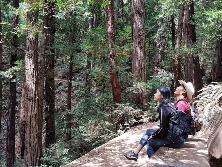 San Francisco: Muir Woods Tour & Golden Gate Bay Cruise - Muir Woods to the Bay, a two-part day that makes sense