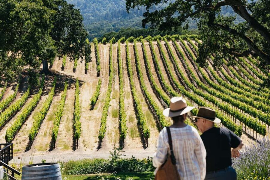 San Francisco: Napa and Sonoma Valley Wine Tour - Key highlights worth planning for