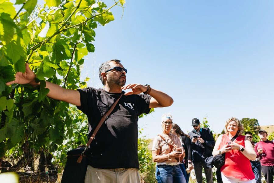 San Francisco: Napa and Sonoma Valley Wine Tour - Sonoma Square Plaza: lunch, shopping, and a break that keeps you human