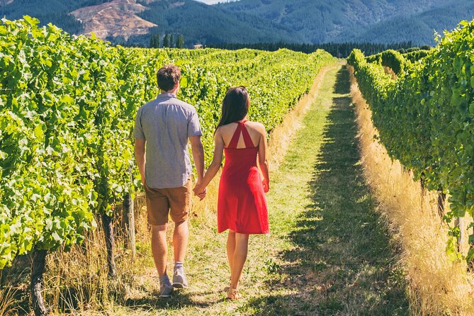 San Francisco: Napa & Sonoma Wine Tour & 24hr Hop-on Hop-off Tour - Key Things to Know Before You Go