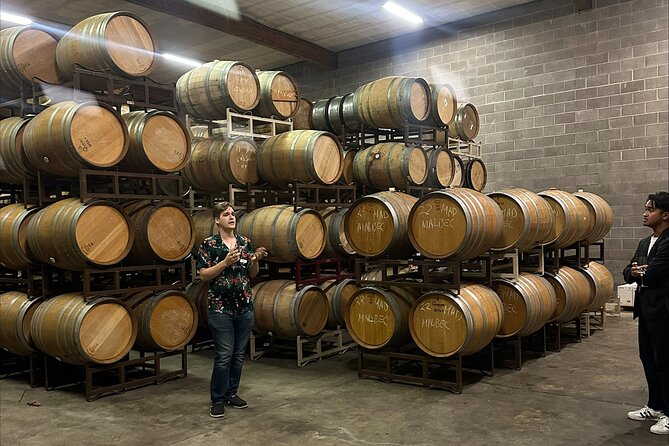 San Francisco: Napa & Sonoma Wine Tour & 24hr Hop-on Hop-off Tour - Value Check: Is $169 Worth It for Your Style?
