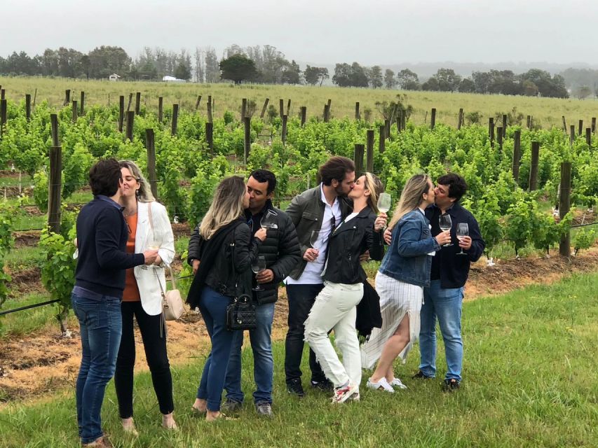 San Francisco: Napa Valley Half-Day Wine Tour with Tastings - Stop 1 Madonna Estate, family history and mixed expectations