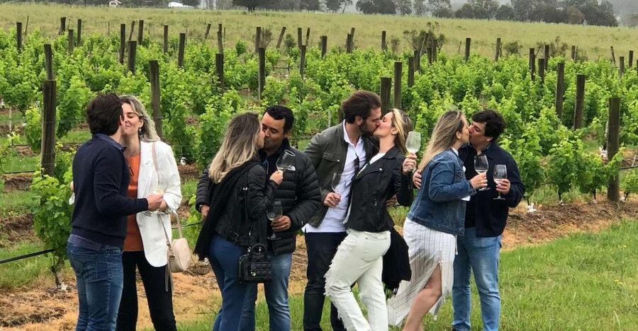 San Francisco: Napa Valley Half-Day Wine Tour with Tastings - How the winery program works, tastings plus winemaking explanations