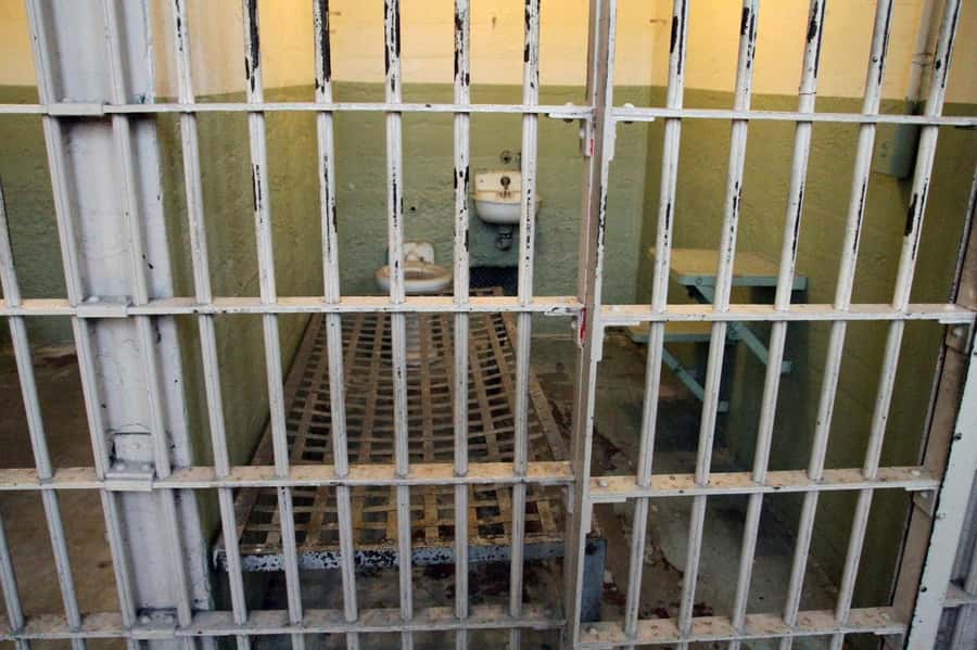 San Francisco: Private Alcatraz & City Tour Combo - Telegraph Hill and Coit Tower area: small views that feel big