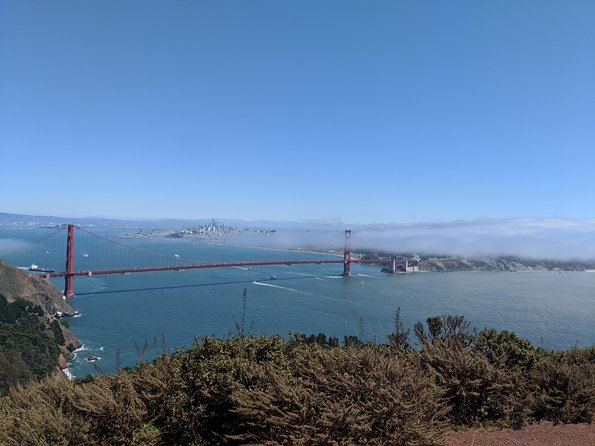 San Francisco Private City Tour - Chinatown: old roots, clear options, and real atmosphere