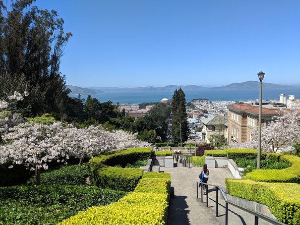 San Francisco Private City Tour - Coit Tower and Filbert Steps: Telegraph Hill’s best angles