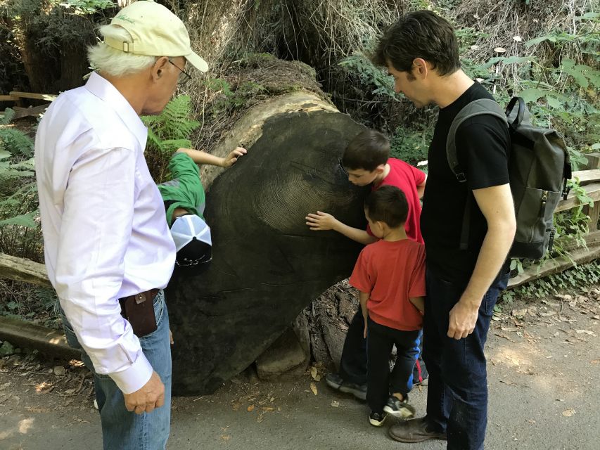 San Francisco: Private Muir Woods and Sausalito Tour - Should you book this private Muir Woods and Sausalito tour?