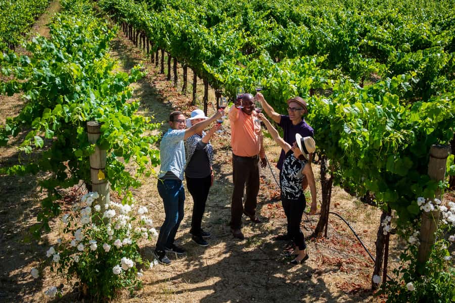 San Francisco: Redwood & Wine Country Tour with Lunch & Wine - Napa Valley winery visit: a hand-picked flight with time to slow down