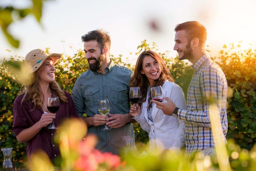 San Francisco: Redwood & Wine Country Tour with Lunch & Wine - Entering Muir Woods for 1 hour: what to do with that short window