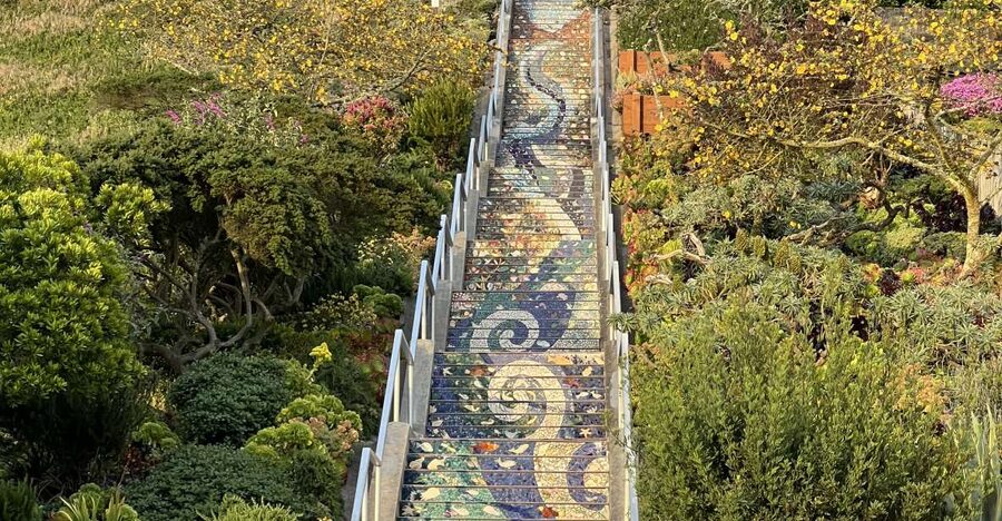 San Francisco's Wild Side, Ecotour With Meteorologist - Why this 150-minute walk feels like an SF field trip