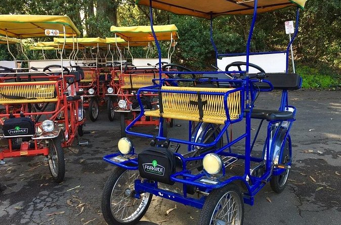 San Francisco: Scenic Surrey Ride Through Golden Gate Park - De Young and the art-and-gardens combo