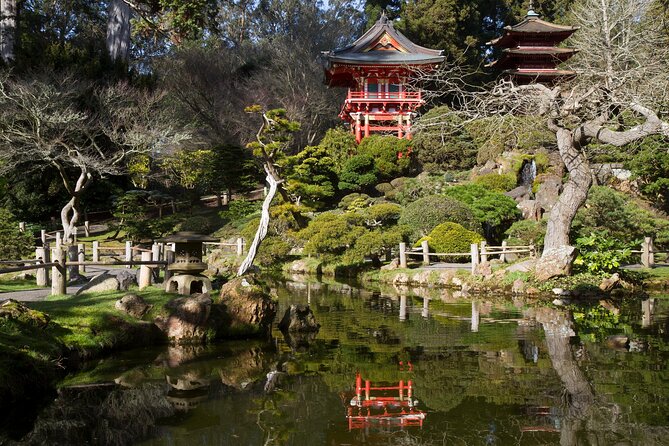 San Francisco: Scenic Surrey Ride Through Golden Gate Park - How hard will it be? One gear and a heavy surrey reality