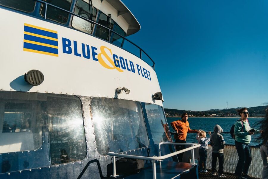 San Francisco: Skip-the-Line 1-Hour Bay Cruise by Boat - Pier 39 meeting point and your first views in minutes