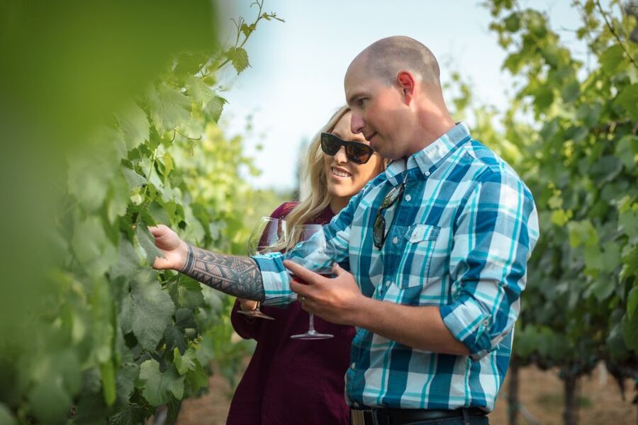 San Francisco: Sonoma Wine Country Tour with Tastings - The small-group vibe that makes Sonoma feel reachable