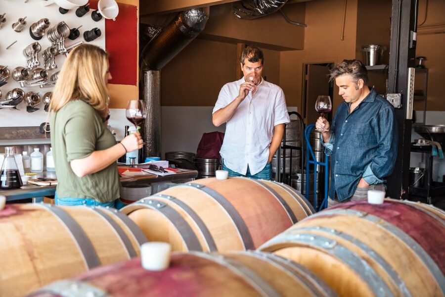 San Francisco: Sonoma Wine Country Tour with Tastings - Three boutique wineries and what to pay attention to at each