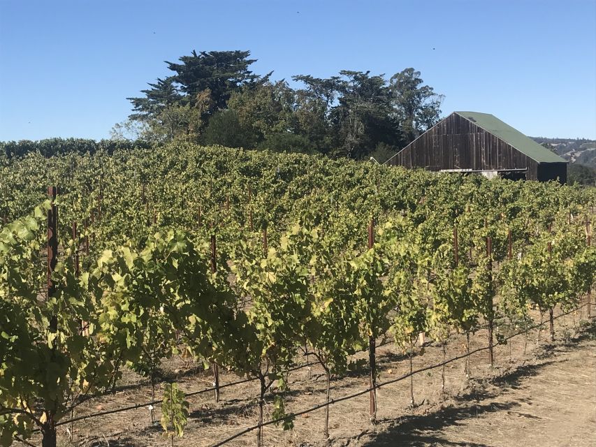 San Francisco: Sonoma Wine Country Tour with Tastings - FAQ