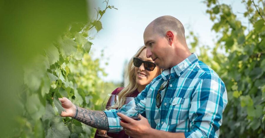 San Francisco: Sonoma Wine Country Tour with Tastings - Riding out of San Francisco across the Golden Gate Bridge