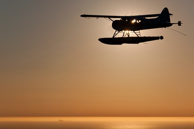 San Francisco Sunset Champagne Seaplane Tour - Price and What You’re Really Paying For ($379)