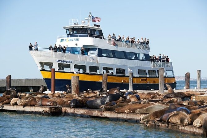 San Francisco Sunset Cruise - Comfort and Cleanliness: Small Things That Affect the Whole Mood