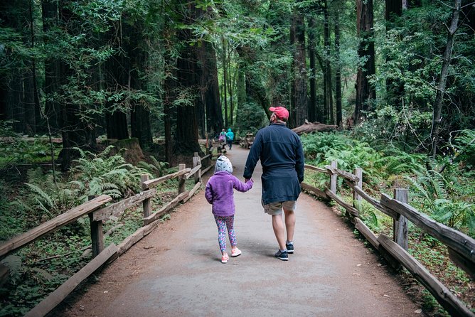 San Francisco Super Saver: Muir Woods & Wine Country w/ optional Gourmet Lunch - Muir Woods Timing: The Real Value of Going First