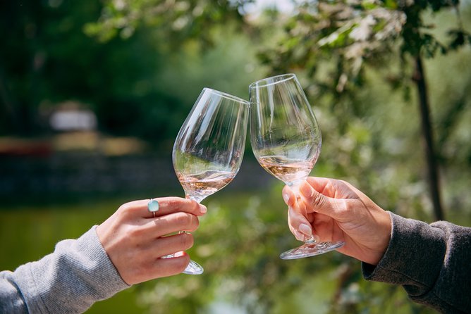 San Francisco Super Saver: Muir Woods & Wine Country w/ optional Gourmet Lunch - Napa Winery Stop: RuVango’s Vineyard-First Tastings