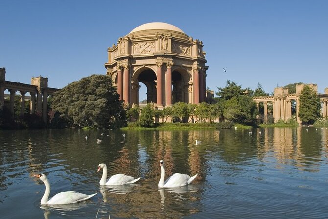 San Francisco: Surrey Ride Along the Scenic Marina Waterfront - Price and value: what $35 gets you, and what to budget