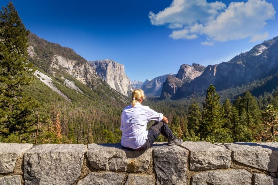 San Francisco to/from Yosemite National Park: 1-Way Transfer - Photo moments and audio guides, Half Dome, El Capitan, Yosemite Falls