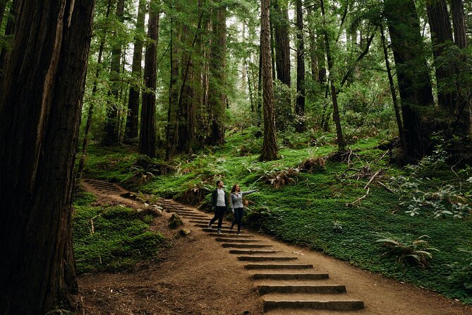 San Francisco to Muir Woods Shuttle - Redwood entrance fee: included only for some people