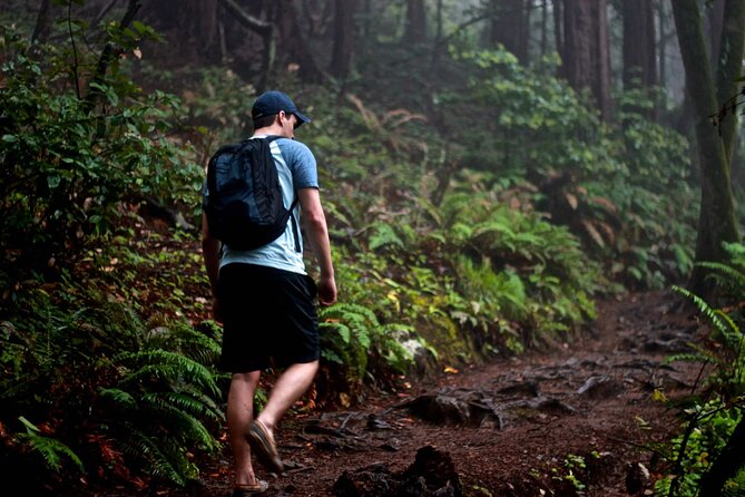 San Francisco to Muir Woods Shuttle - Who the guides are, and what that changes on a group day