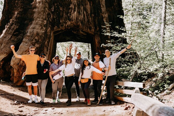 San Francisco to Yosemite One-Way Transfer - Key highlights to know before you go