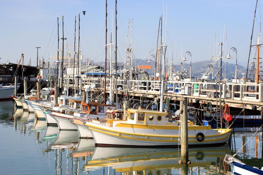 San Francisco Ultimate City Tour with Bay Cruise Option - Twin Peaks: The Weather-Dependent Panoramic Payoff